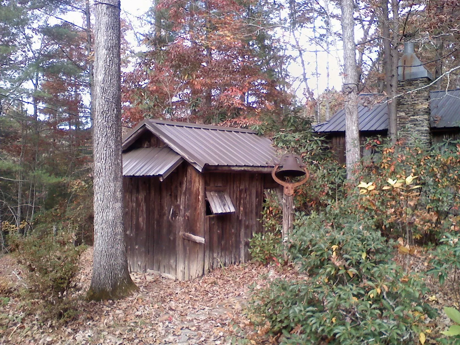 Small metal roof on a rough sawn shed in the woods in Arch Cape