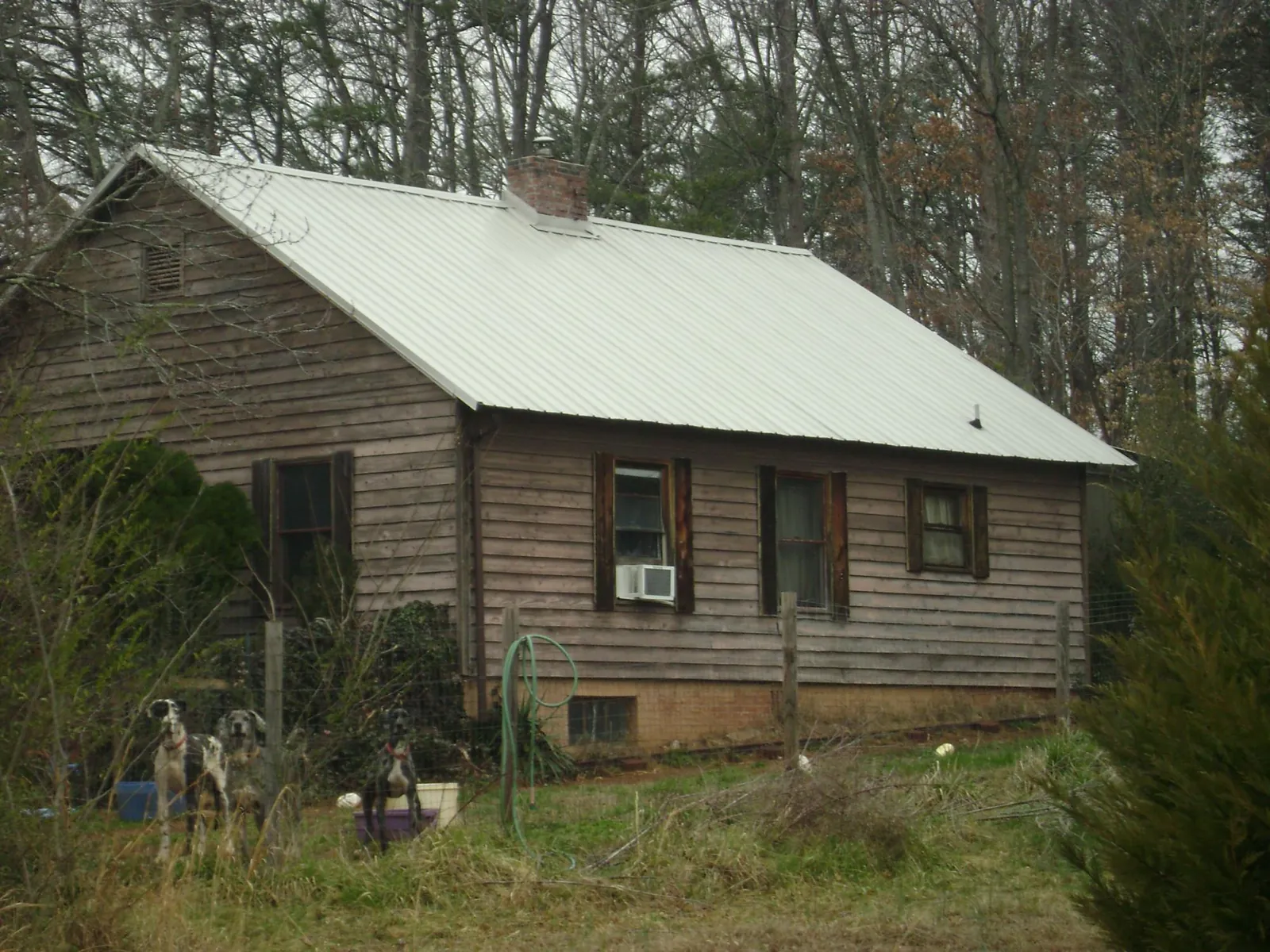 White metal roof on an old wood sided farmhouse, from a Metal Roof Installation job in Arch Cape